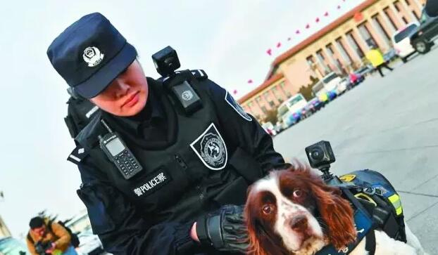 兩會期間警犬配VR